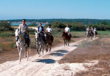 Portugal-Alentejo / Blue Coast-Dolphin Coast Escape Ride